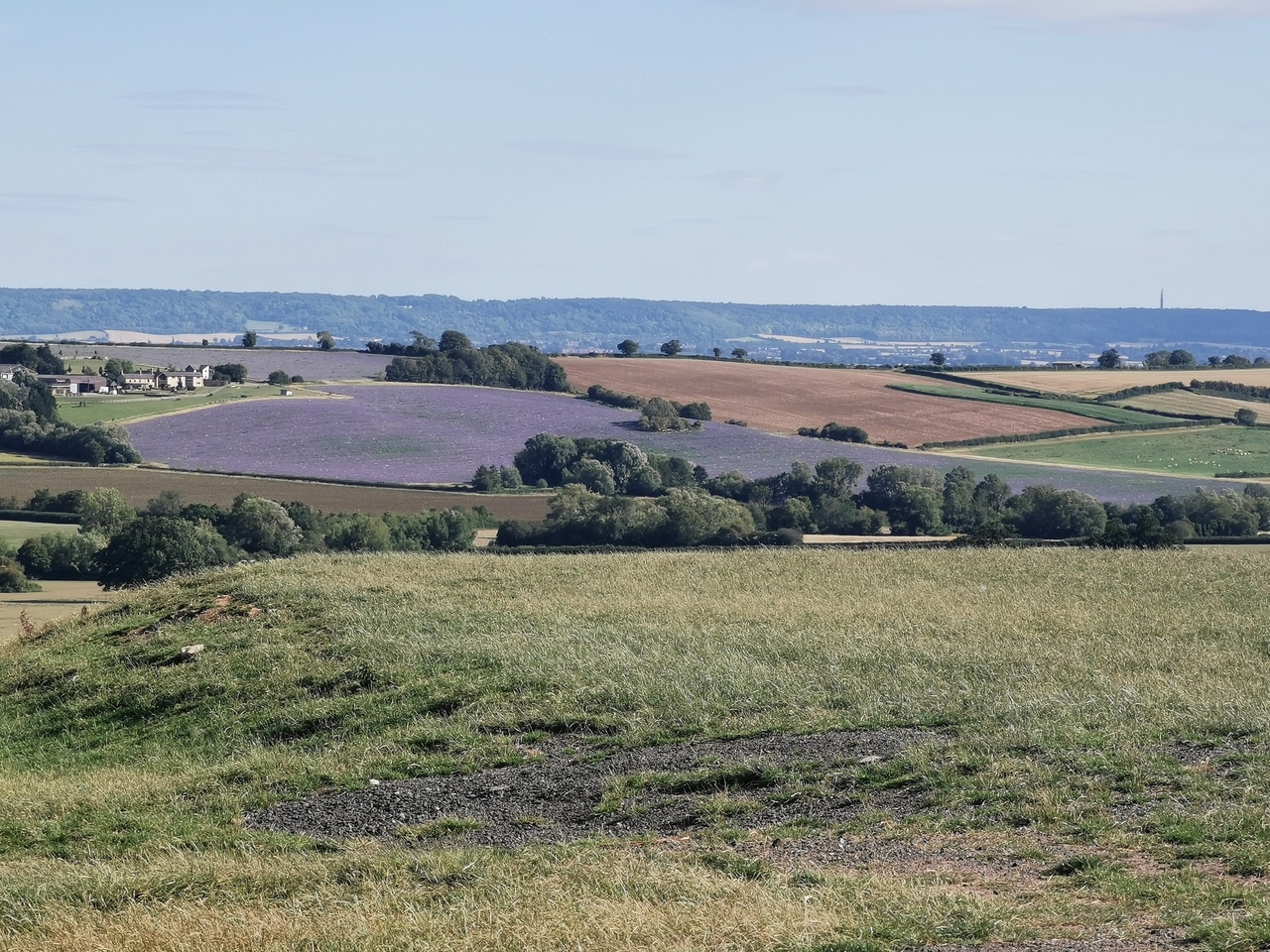 Beautiful fields near OYB zoom