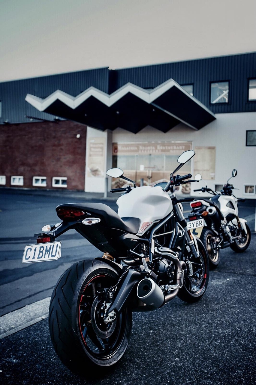The new Monster - &#039;Aria&#039; (yes, I&#039;m superstitious enough to name them all) with...