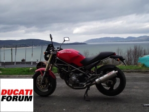 duc