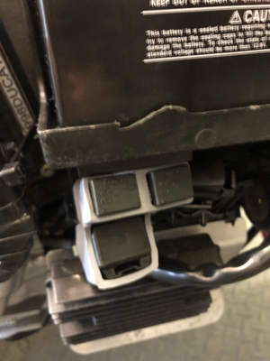 OEM Fuse holder FROM Ducati