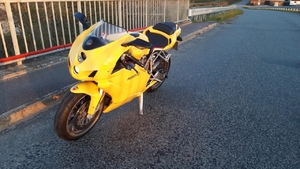 Sunny evening