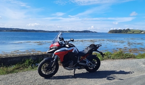 New Bike