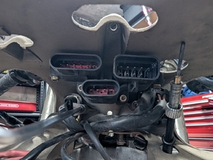 Hd1