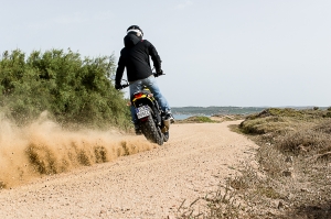 2-54 DUCATI SCRAMBLER