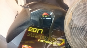 Ilmberger Enduro front mudguard
