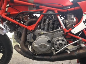 LS detail