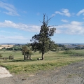 Beautiful fields near OYB
