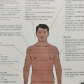 Male awareness issues