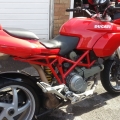 11 years old and i have done some big miles on her this years she just eats them up