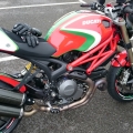 Ducati monster