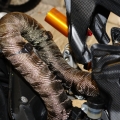 Ceramic coated and titanium wrapped rear header.