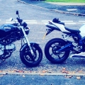 My M600 and Daryl's daytona 675