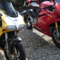 nice pair 01
