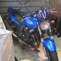 NEGLECTED ALL SEIZED