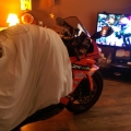 Watching the TT with a can of cider