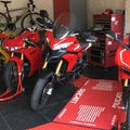 All Ducatis