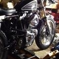 Hot sportster with .060 over pistons, thin head gaskets, stainless valves, ported, S&S carb, factory race cams, progressive suspension, and lots of other cool custom stuff