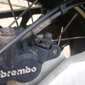 rear brake banjo